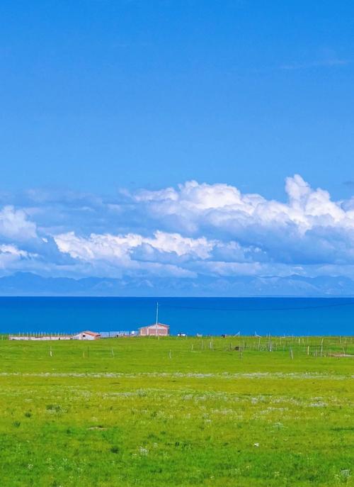 泛站群还有用么